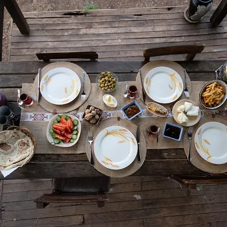 Alloggio in famiglia Campıng *