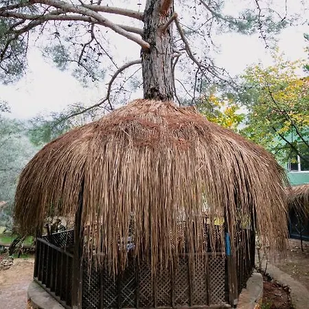 Alloggio in famiglia Campıng *