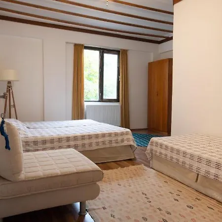 ホームステイ Vita Camping Otel Geyikbayırı